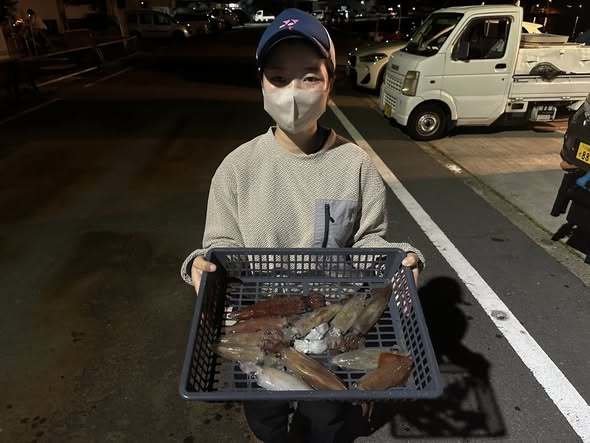 マルイカ(ケンサキイカ)