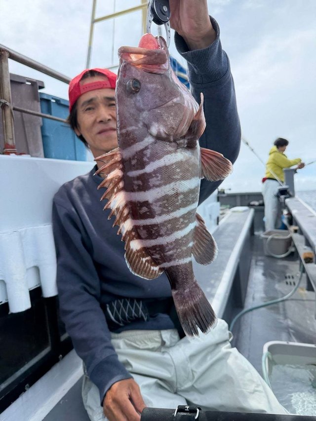 マハタ