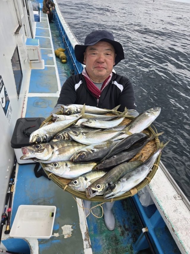 アジ(マアジ)