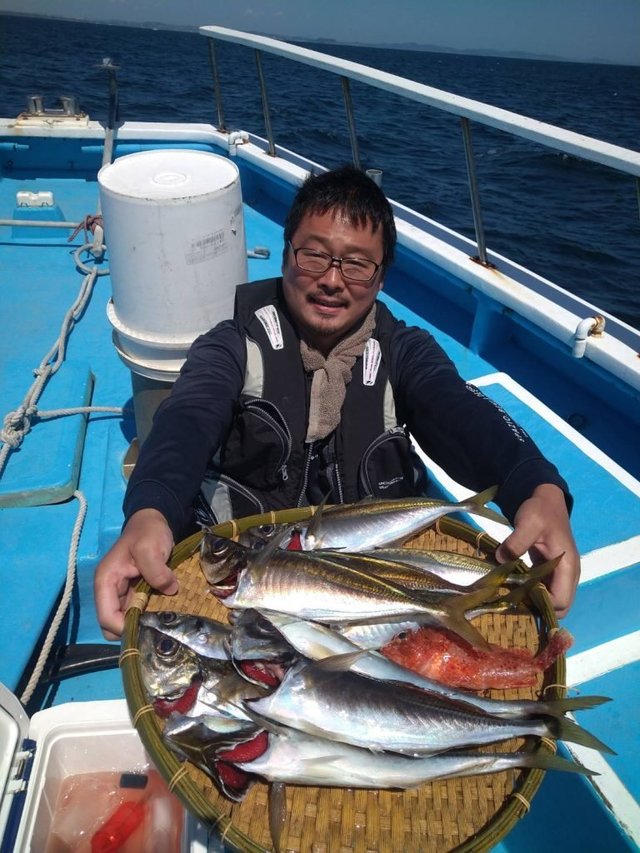 アジ(マアジ)