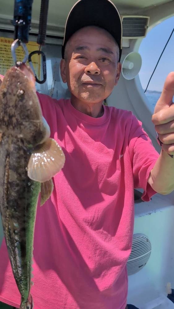 マゴチ
