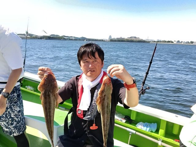 マゴチ