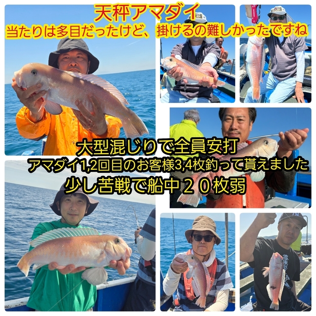 シロアマダイ