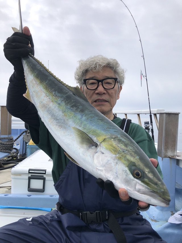 ワラサ(ブリ)
