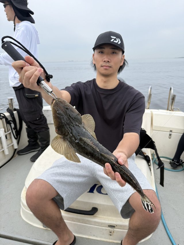 マゴチ