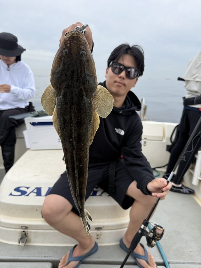 マゴチ