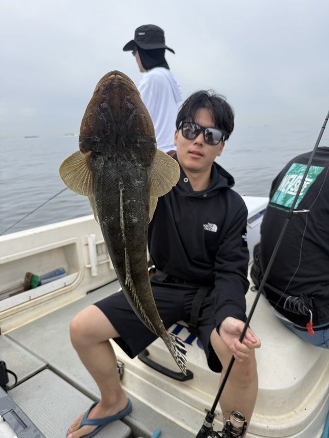 マゴチ