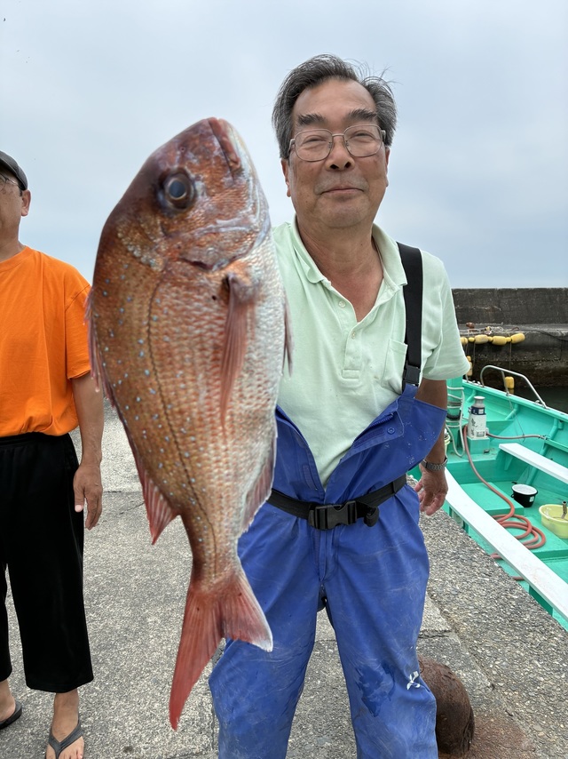 マダイ