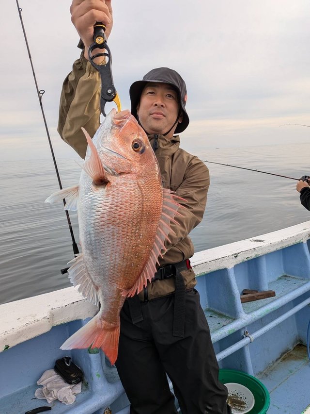 マダイ