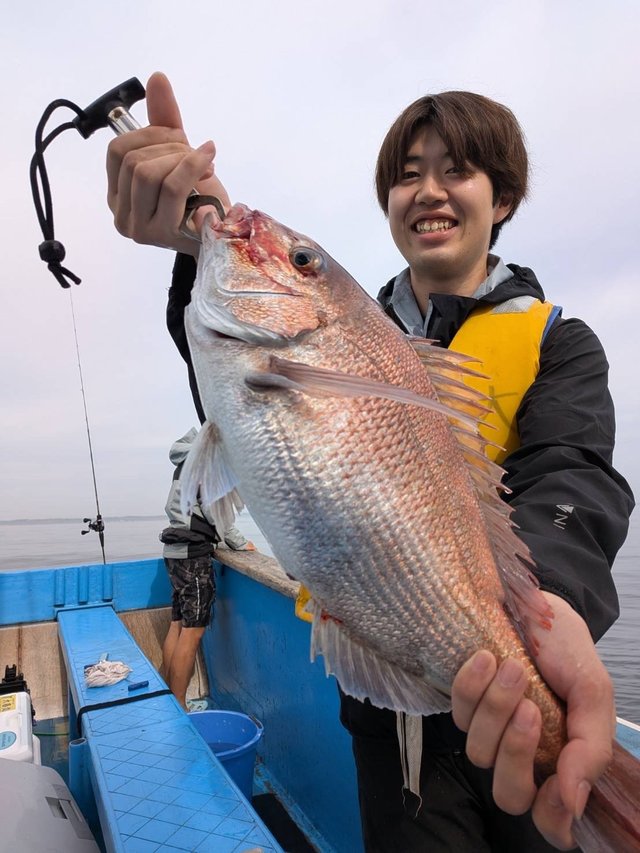 マダイ