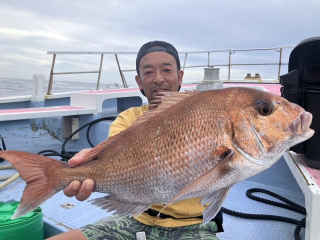 マダイ