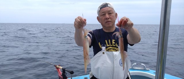 スルメイカ
