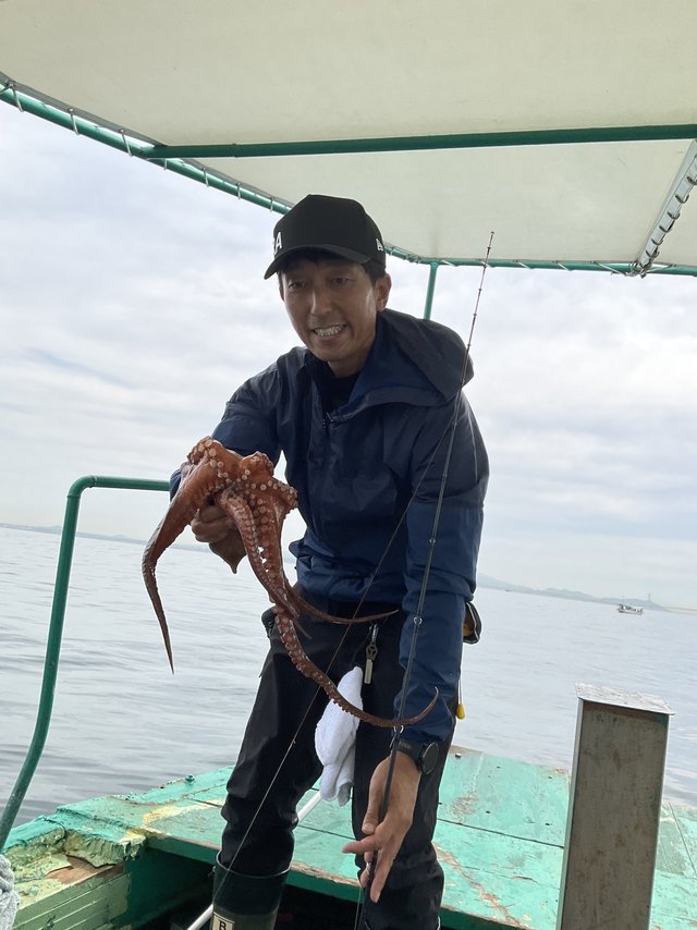 マダコ