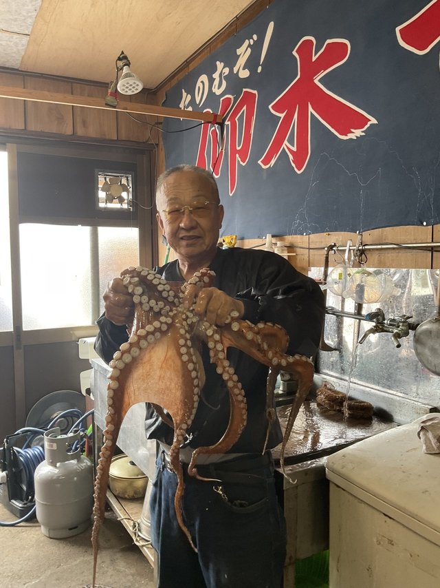 マダコ