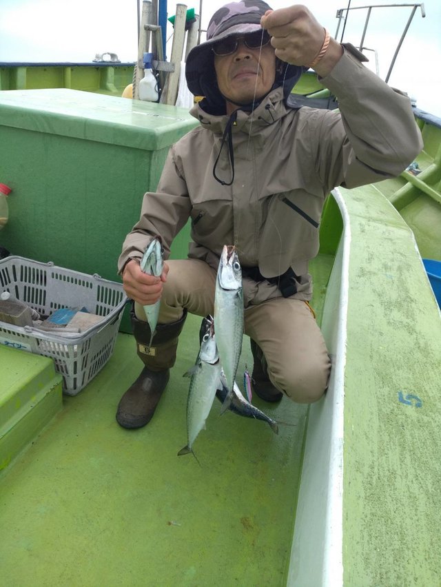 サバ(マサバ)