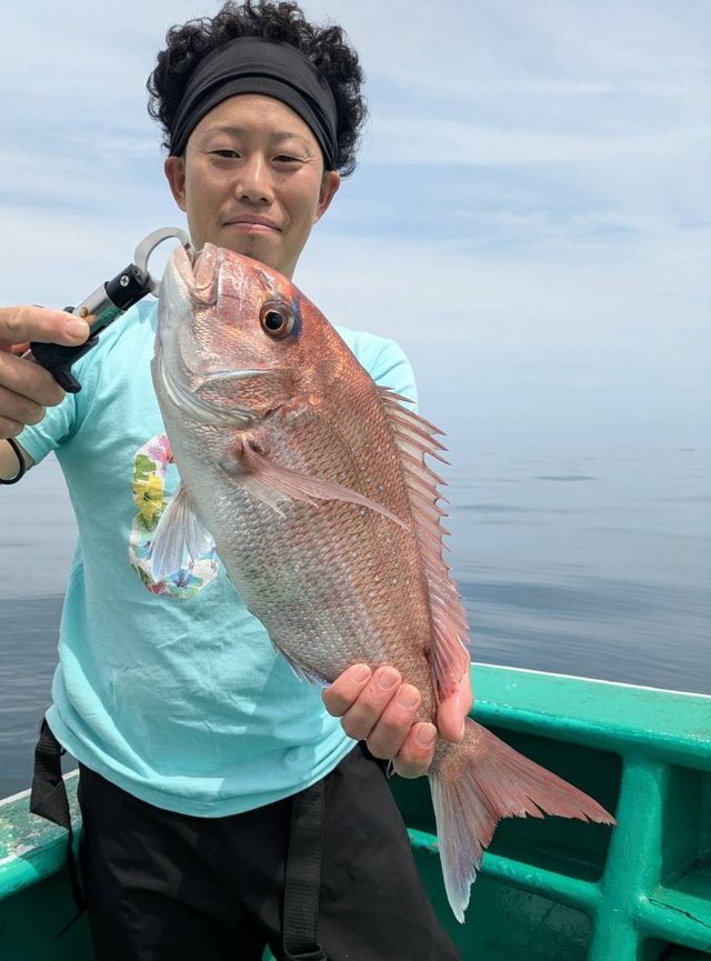 マダイ