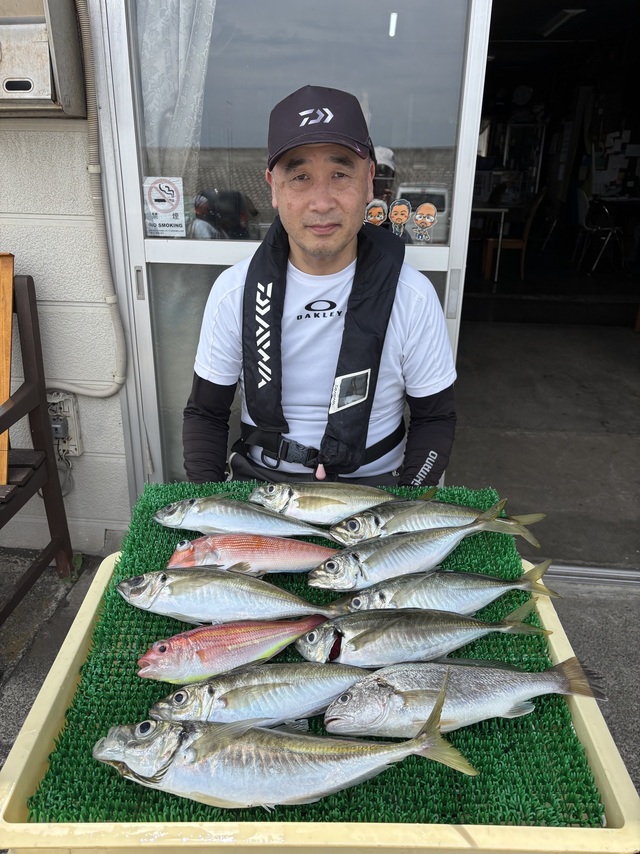 アジ(マアジ)