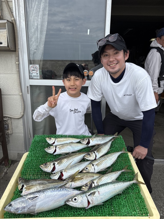 アジ(マアジ)