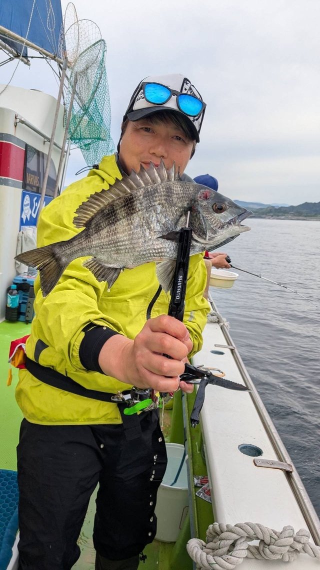 クロダイ