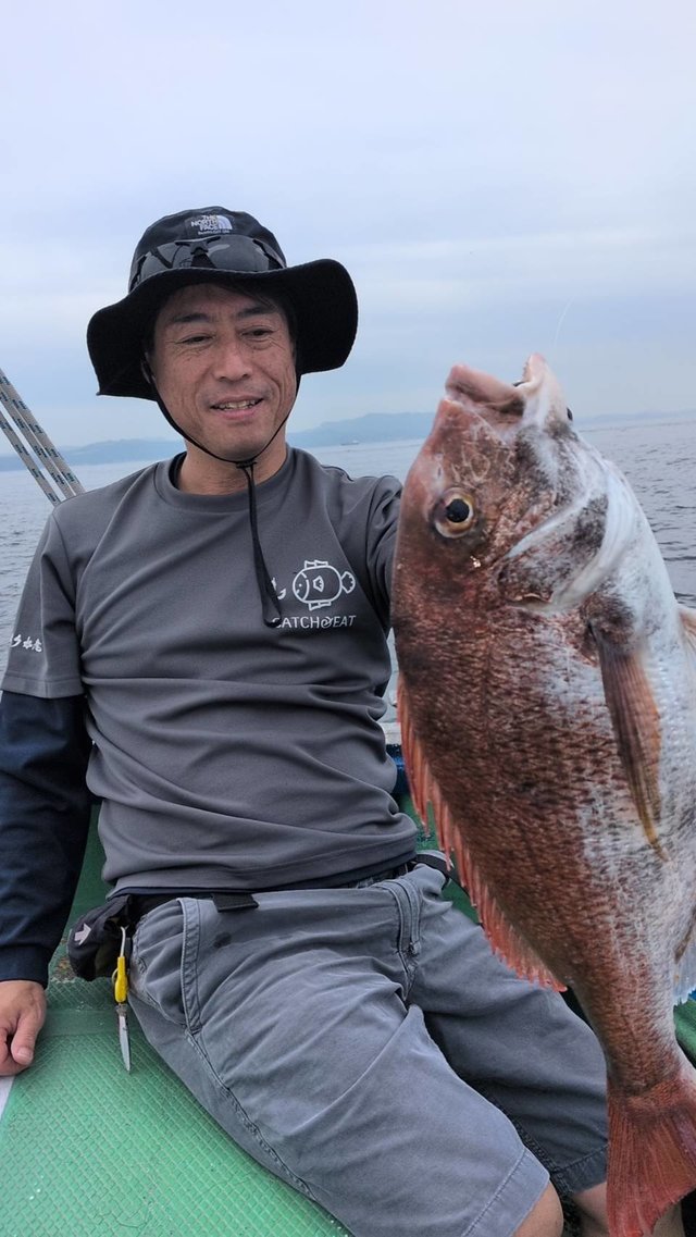 マダイ