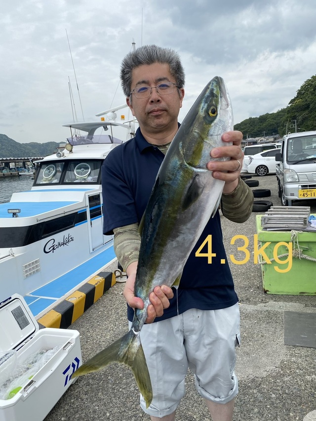 ワラサ(ブリ)
