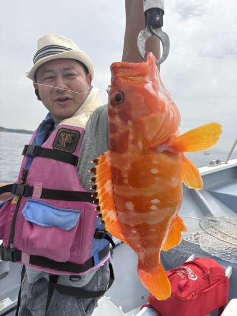 アカハタ