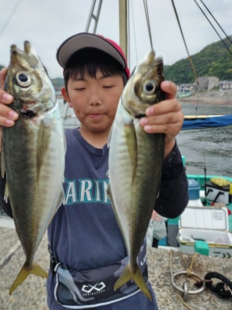 アジ(マアジ)