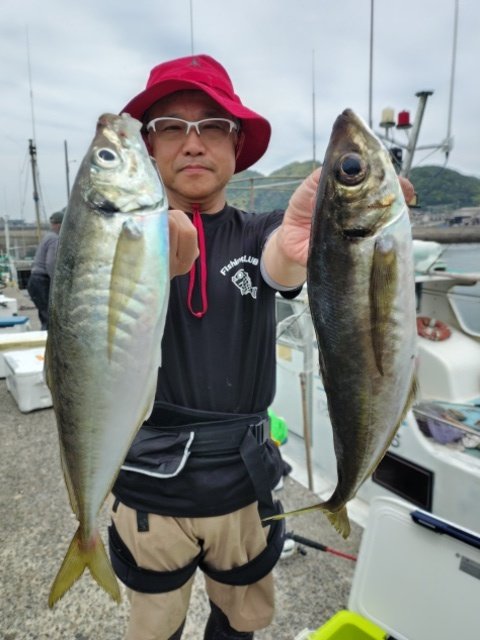 アジ(マアジ)