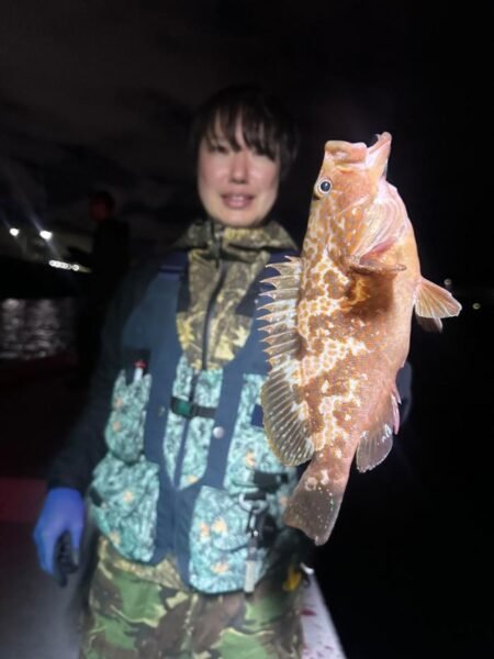 アコウ(キジハタ)