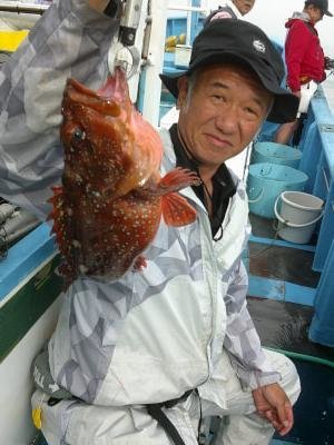 カサゴ