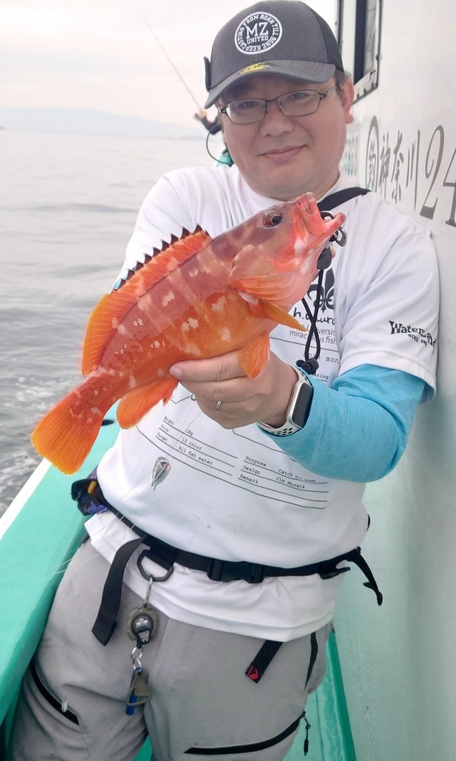 アカハタ