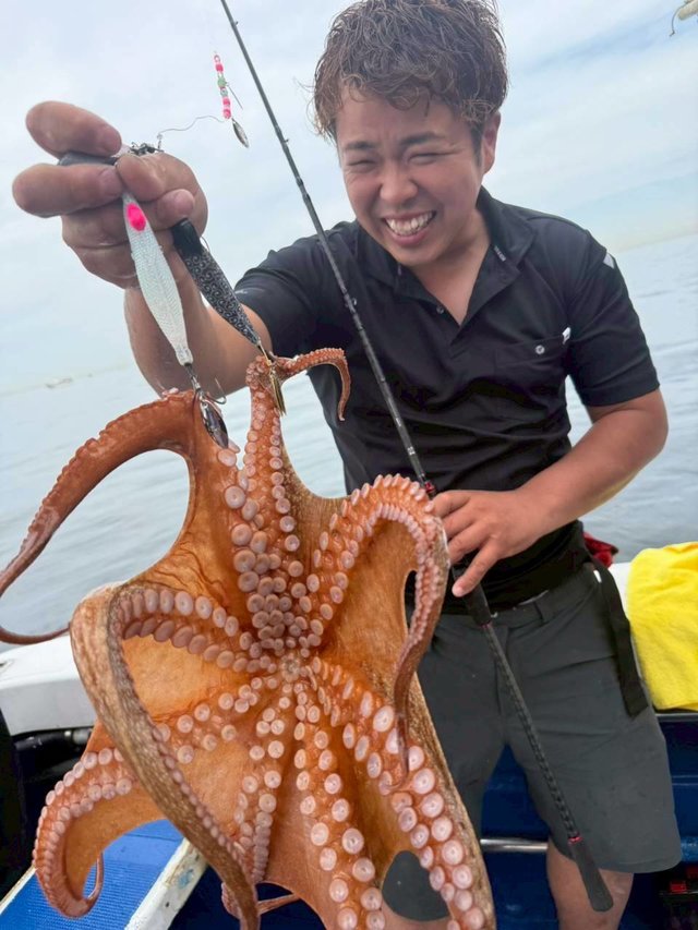タコ(マダコ)