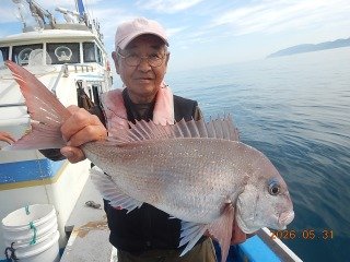 マダイ