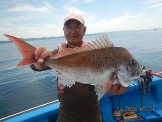 マダイ