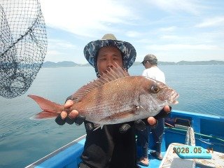 マダイ