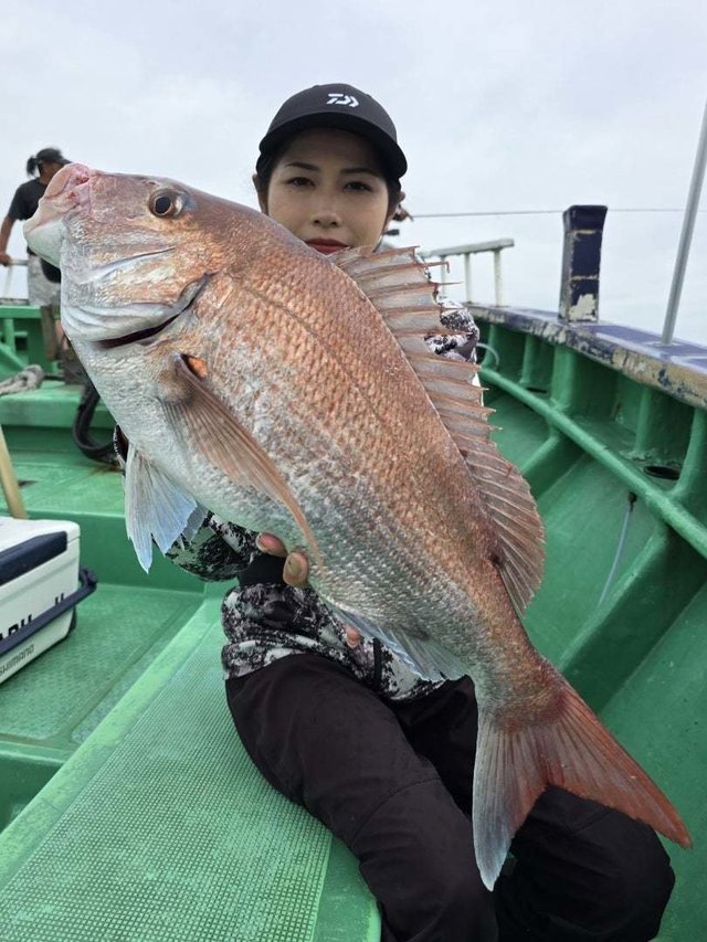 マダイ