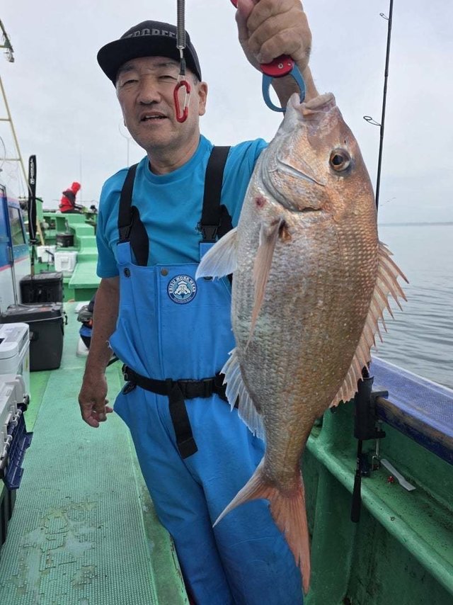 マダイ