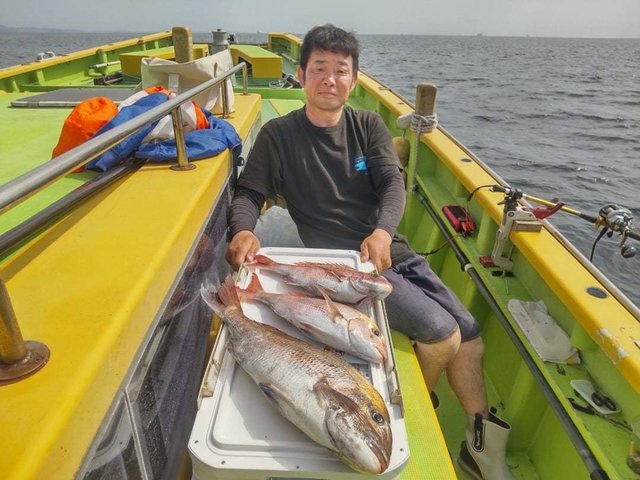 マダイ