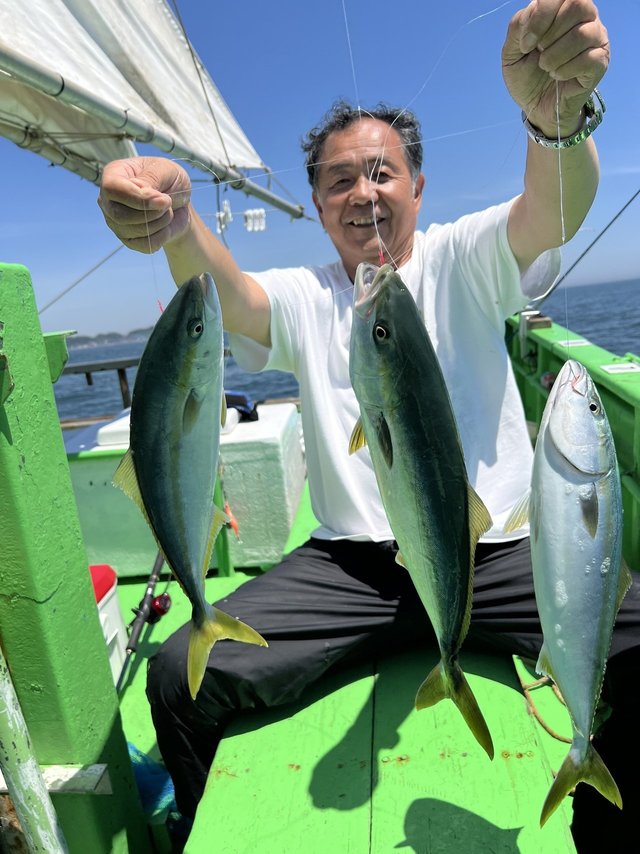 ワラサ(ブリ)