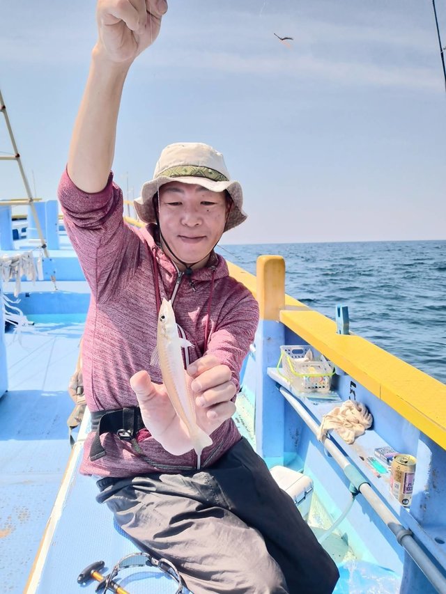 シロギス