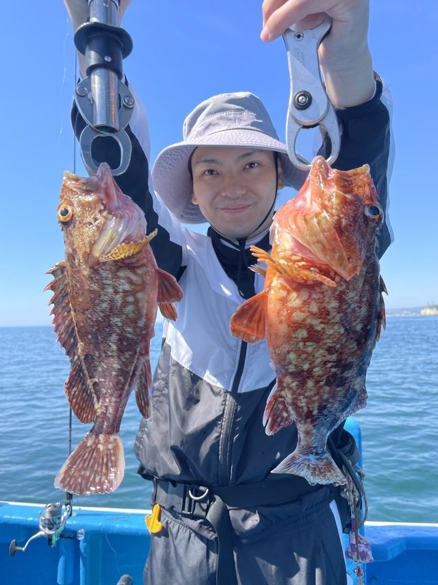 カサゴ
