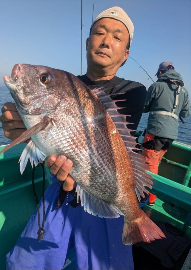 マダイ