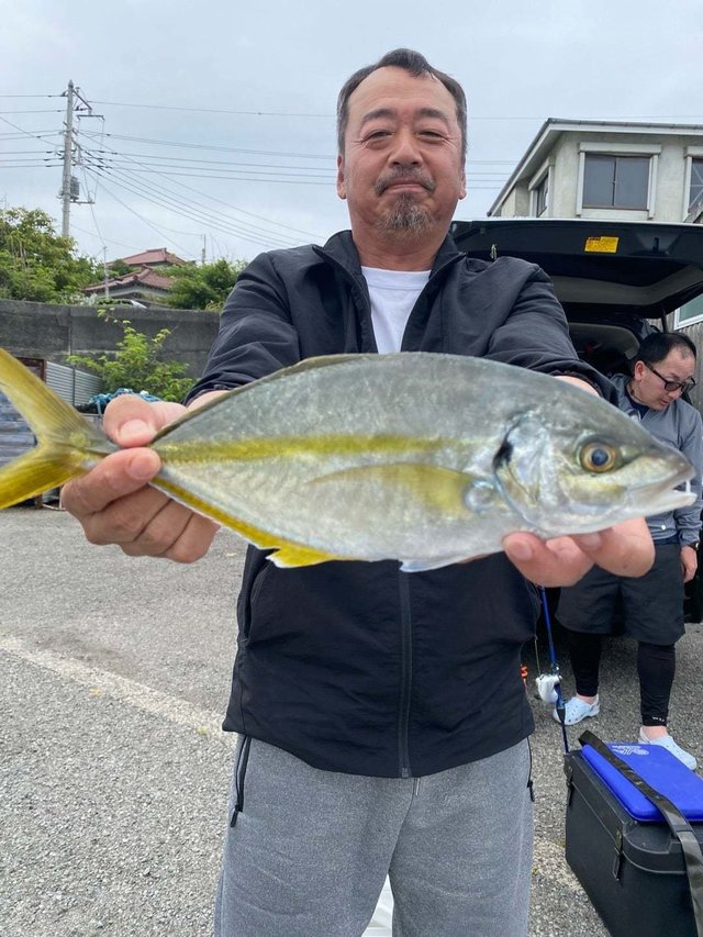 シマアジ