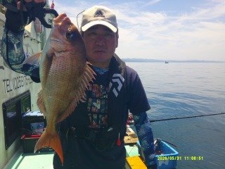 マダイ