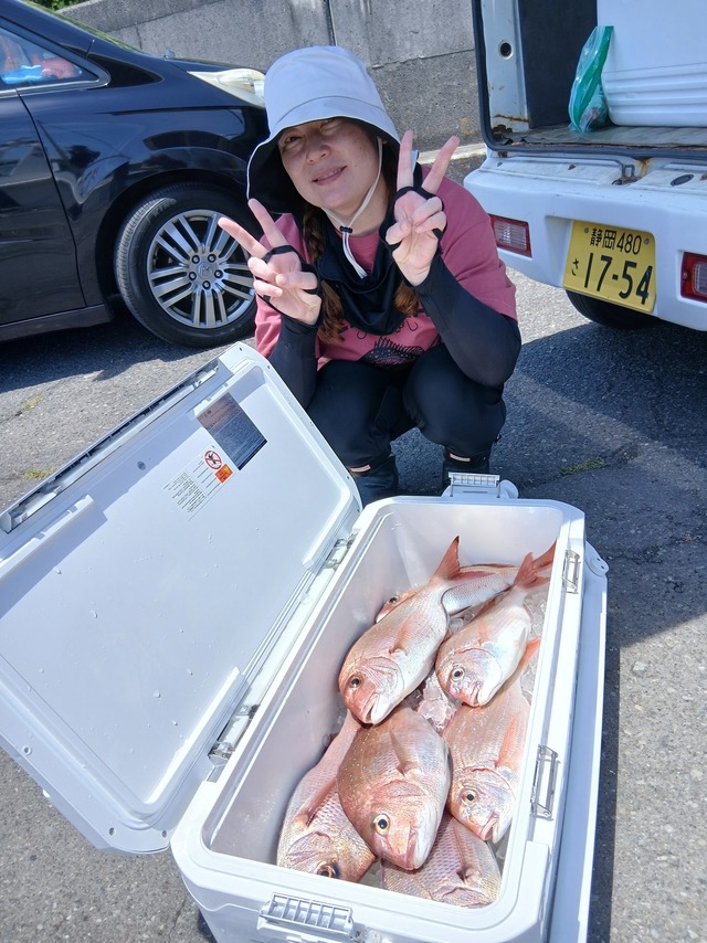 マダイ