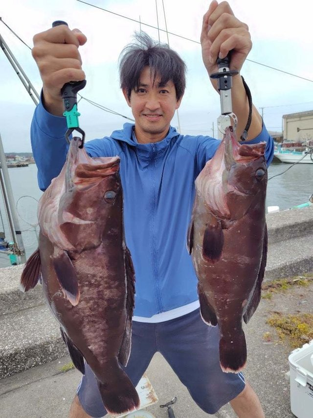 マハタ