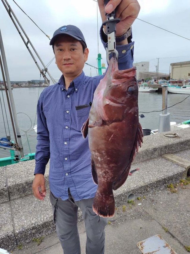 マハタ