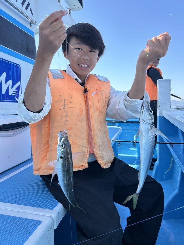 アジ(マアジ)