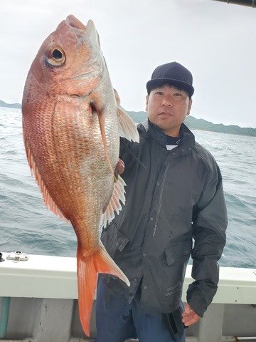 マダイ
