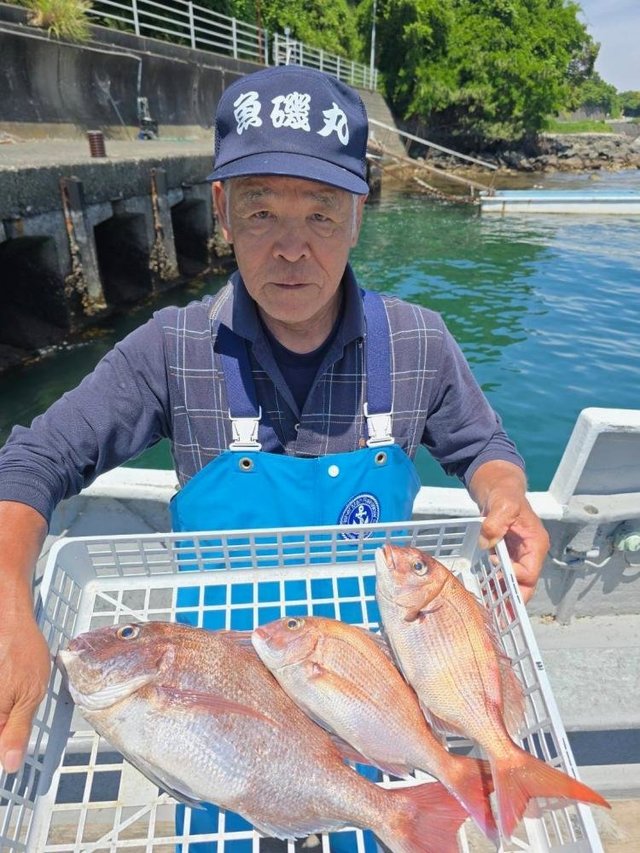 マダイ